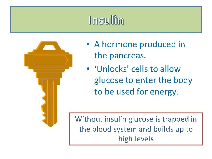 Insulin • A hormone produced in the pancreas. • ‘Unlocks’ cells to allow glucose
