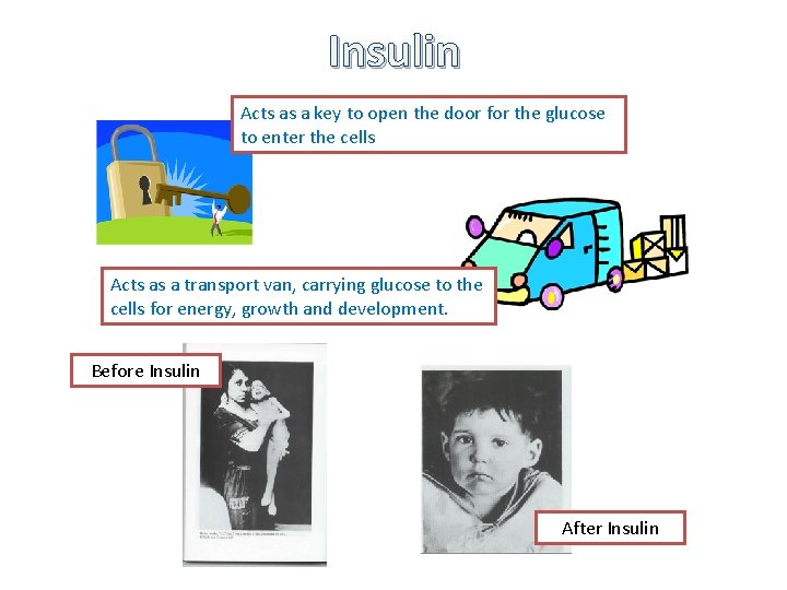 Insulin Acts as a key to open the door for the glucose to enter
