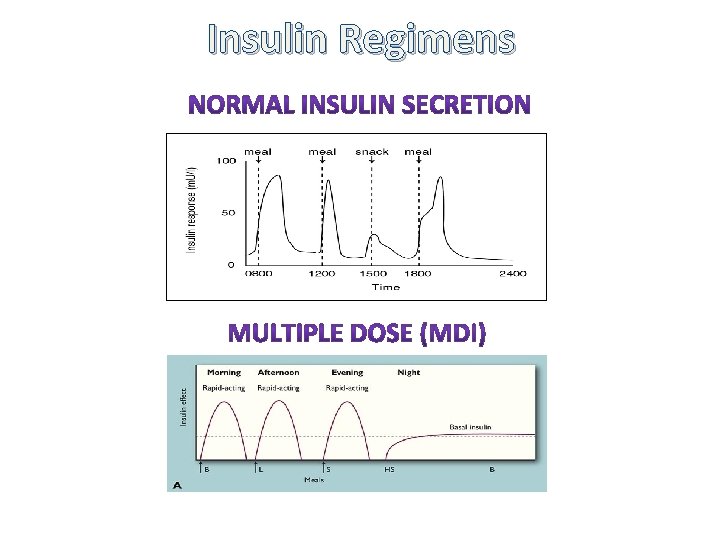 Insulin Regimens 