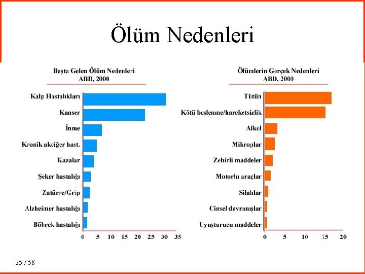 Ölüm Nedenleri 25 / 58 