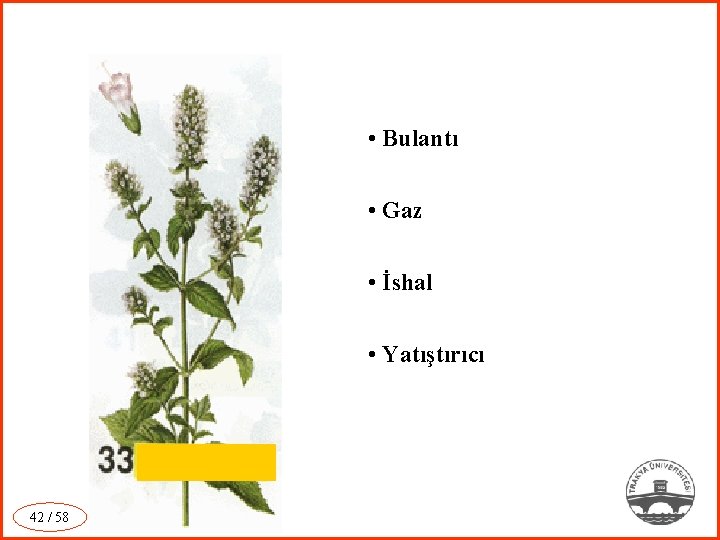  • Bulantı • Gaz • İshal • Yatıştırıcı 42 / 58 