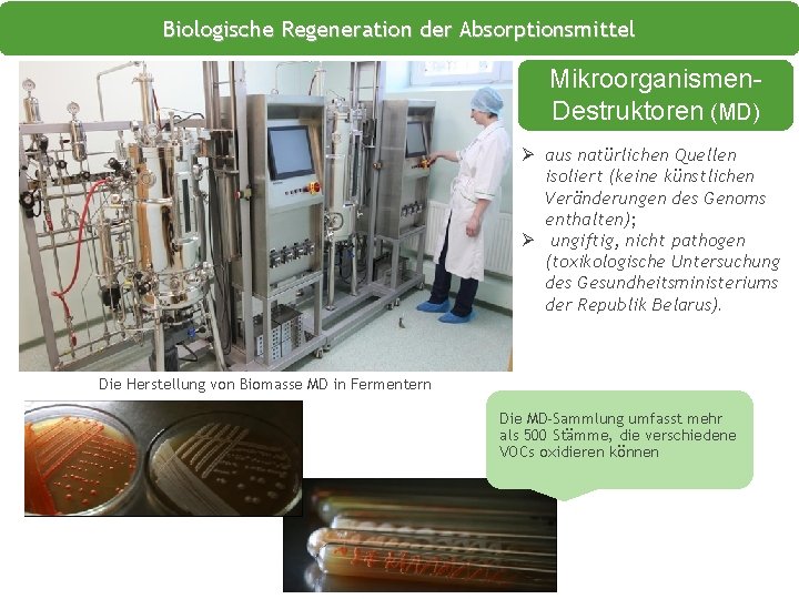 Biologische Regeneration der Absorptionsmittel Mikroorganismen. Destruktoren (MD) Ø aus natürlichen Quellen isoliert (keine künstlichen