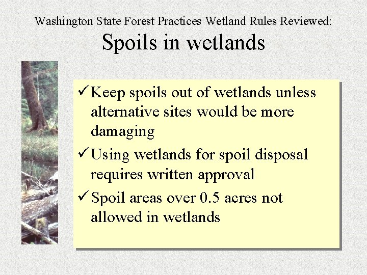 Washington State Forest Practices Wetland Rules Reviewed: Spoils in wetlands ü Keep spoils out