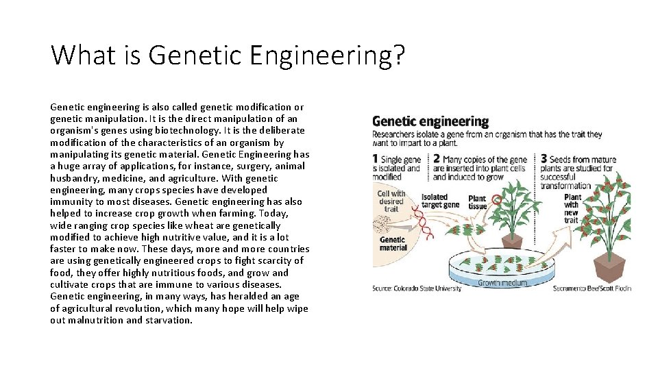 What is Genetic Engineering? Genetic engineering is also called genetic modification or genetic manipulation. What is Genetic Engineering? Genetic engineering is also called genetic modification or genetic manipulation.