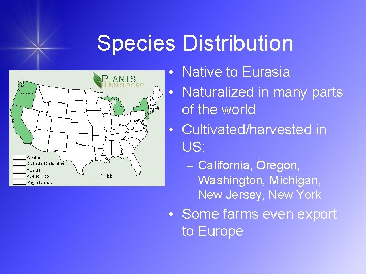 Species Distribution • Native to Eurasia • Naturalized in many parts of the world