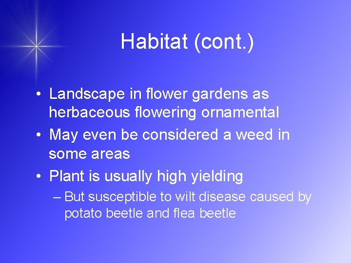 Habitat (cont. ) • Landscape in flower gardens as herbaceous flowering ornamental • May