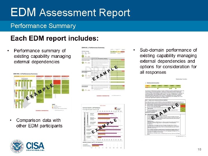 EDM Assessment Report Performance Summary 18 