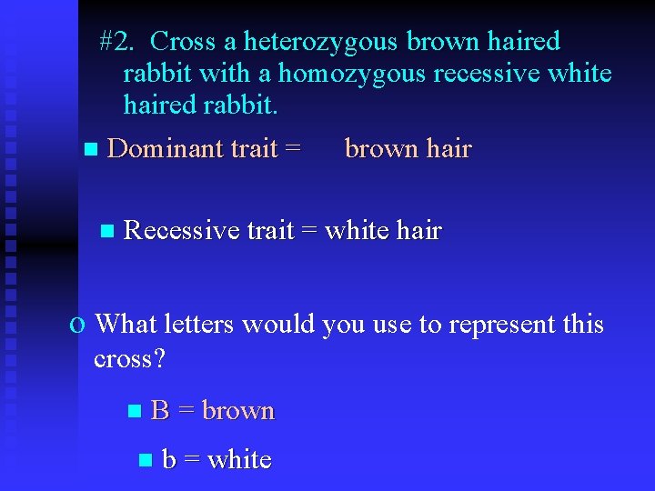 Two Heterozygous White Brown Fur Is Recessive Rabbits Are Crossed