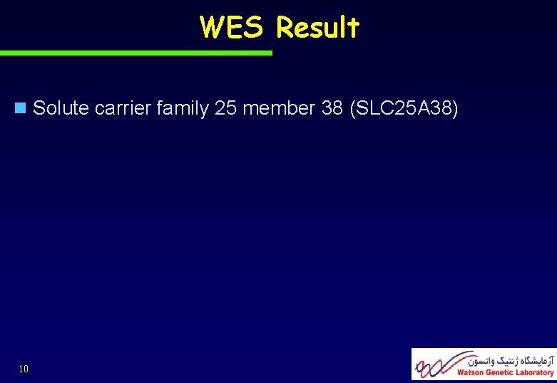WES Result n Solute carrier family 25 member 38 (SLC 25 A 38) 10