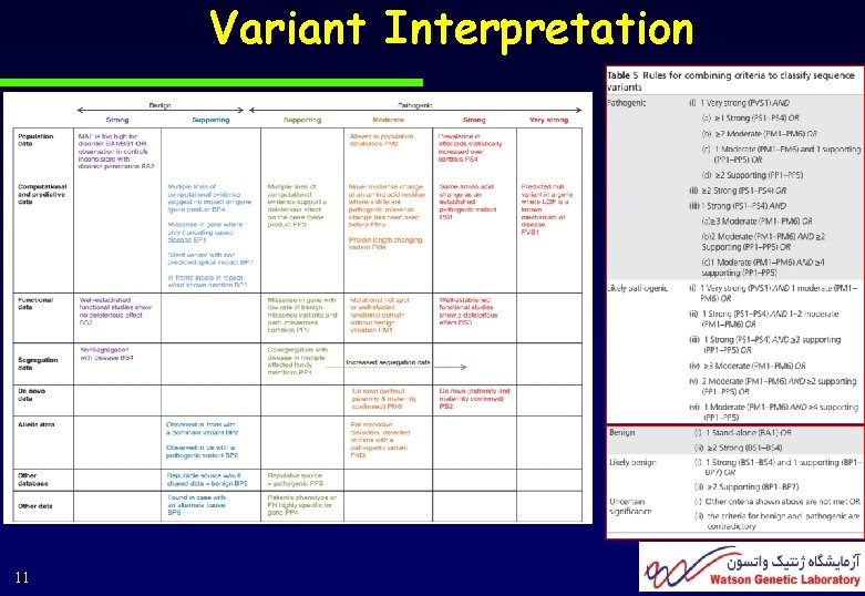 Variant Interpretation 11 