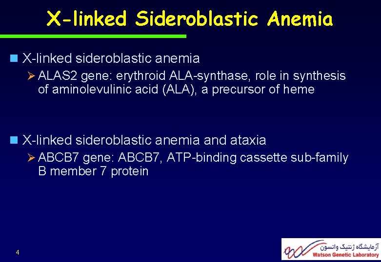 X-linked Sideroblastic Anemia n X-linked sideroblastic anemia Ø ALAS 2 gene: erythroid ALA-synthase, role