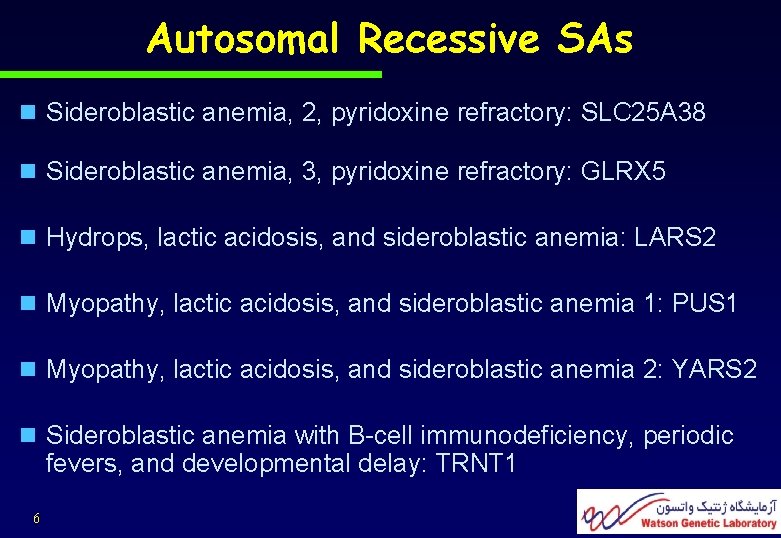 Autosomal Recessive SAs n Sideroblastic anemia, 2, pyridoxine refractory: SLC 25 A 38 n