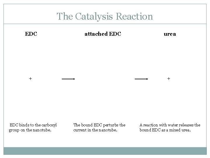 The Catalysis Reaction EDC attached EDC + EDC binds to the carboxyl group on The Catalysis Reaction EDC attached EDC + EDC binds to the carboxyl group on