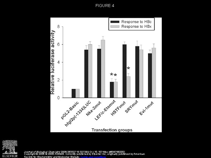 FIGURE 4 Journal of Biological Chemistry 2008 28332715 -32729 DOI: (10. 1074/jbc. M 806769200)