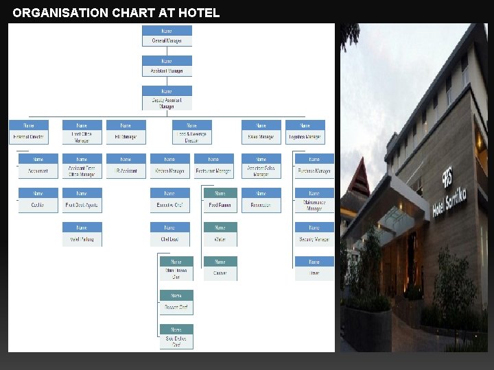 ORGANISATION CHART AT HOTEL 