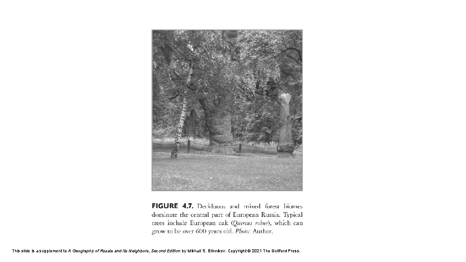 This slide is a supplement to A Geography of Russia and Its Neighbors, Second