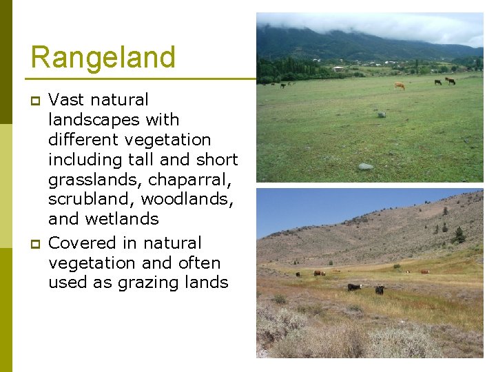 Rangeland p p Vast natural landscapes with different vegetation including tall and short grasslands,