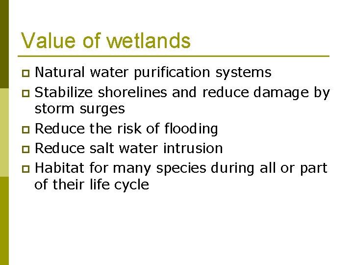 Value of wetlands Natural water purification systems p Stabilize shorelines and reduce damage by