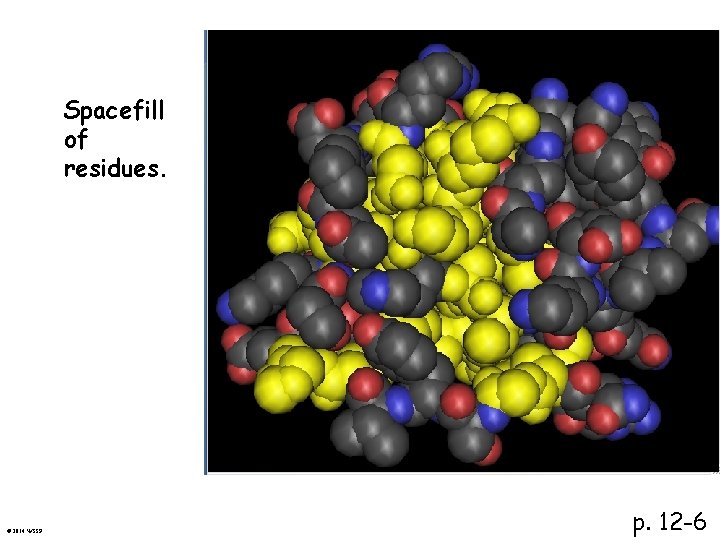 Spacefill of residues. © 2014 WSSP p. 12 -6 