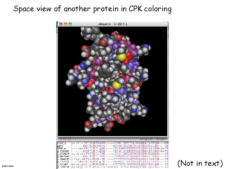Space view of another protein in CPK coloring © 2014 WSSP (Not in text)
