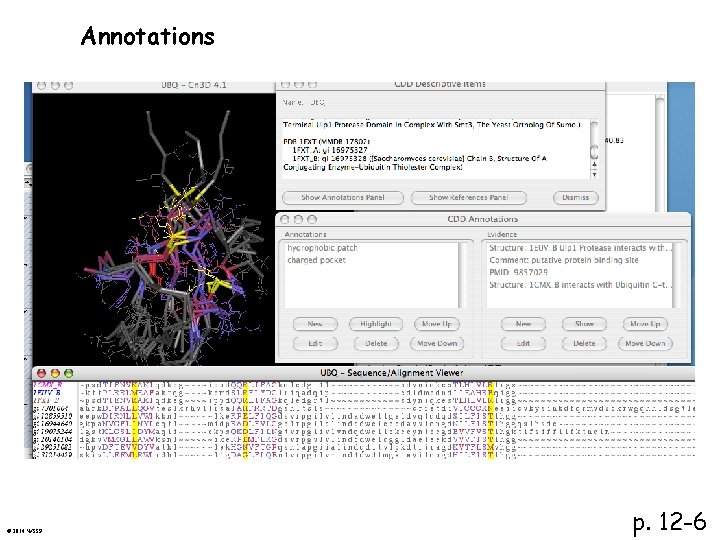 Annotations © 2014 WSSP p. 12 -6 