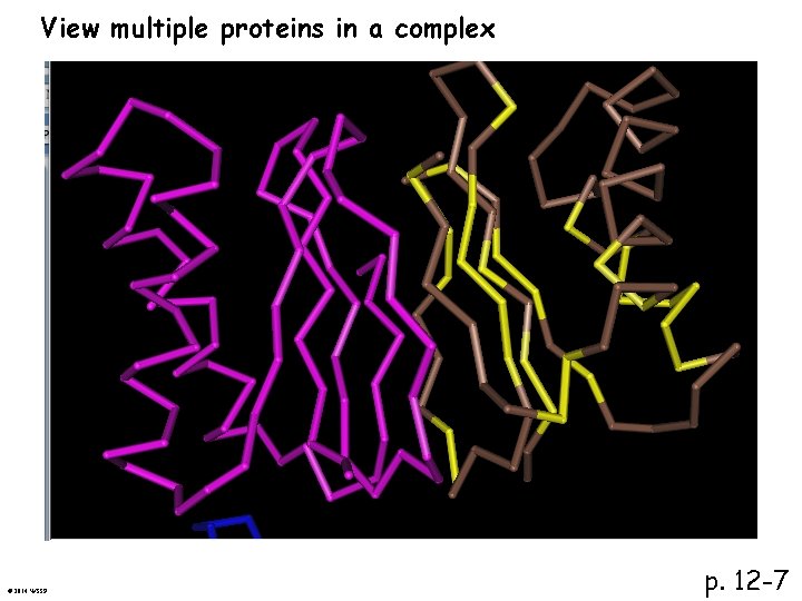 View multiple proteins in a complex © 2014 WSSP p. 12 -7 