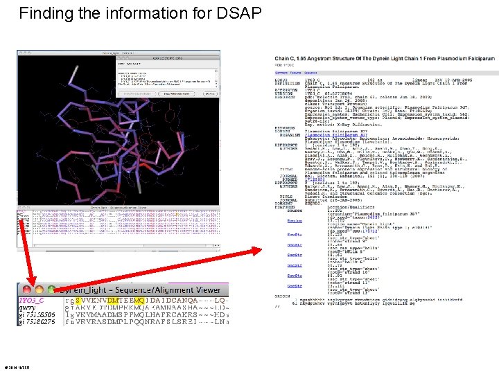 Finding the information for DSAP © 2014 WSSP 