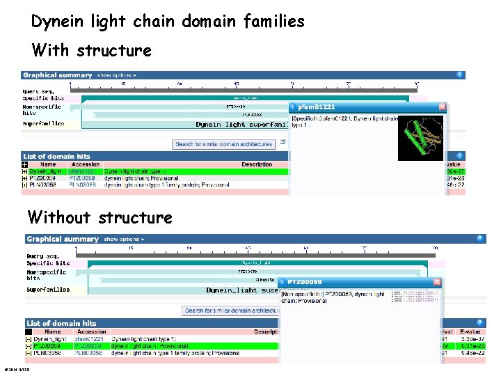 Dynein light chain domain families With structure Without structure © 2014 WSSP 