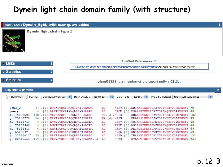 Dynein light chain domain family (with structure) © 2014 WSSP p. 12 -3 