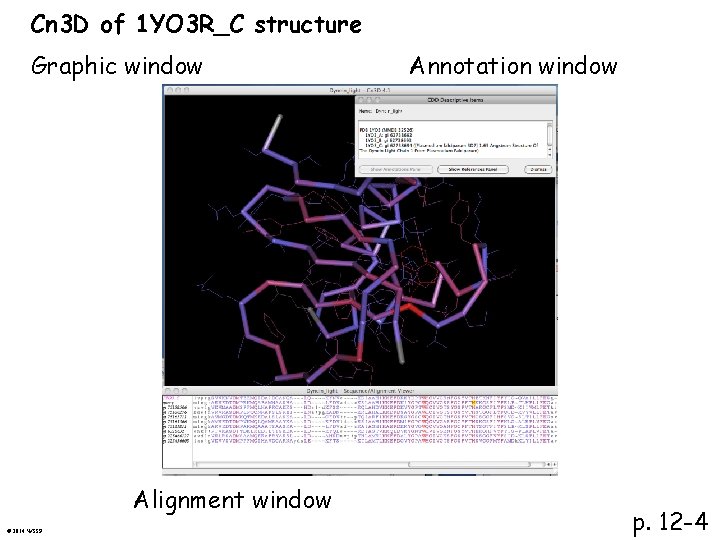Cn 3 D of 1 YO 3 R_C structure Graphic window Alignment window ©