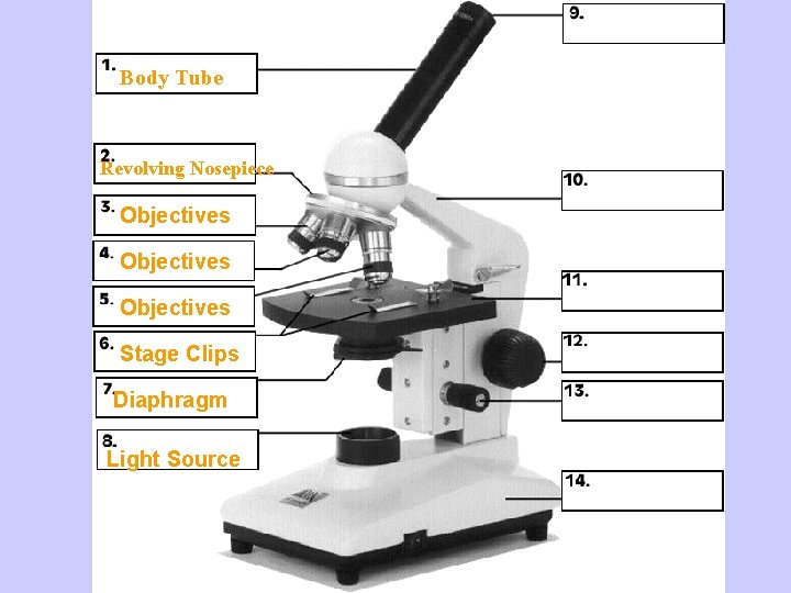 Body Tube Revolving Nosepiece Objectives Stage Clips Diaphragm Light Source Microscope 