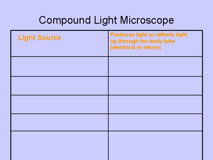 Compound Light Microscope Light Source Produces light or reflects light up through the body