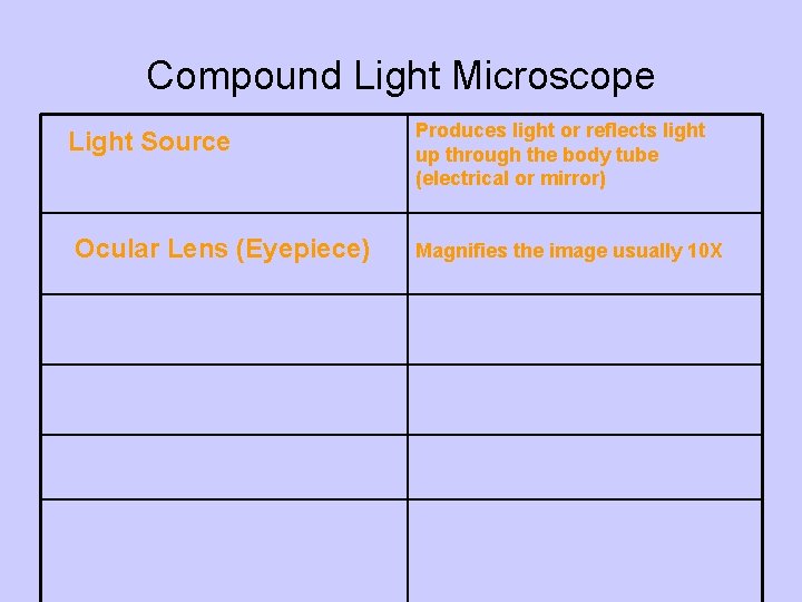 Compound Light Microscope Light Source Ocular Lens (Eyepiece) Produces light or reflects light up