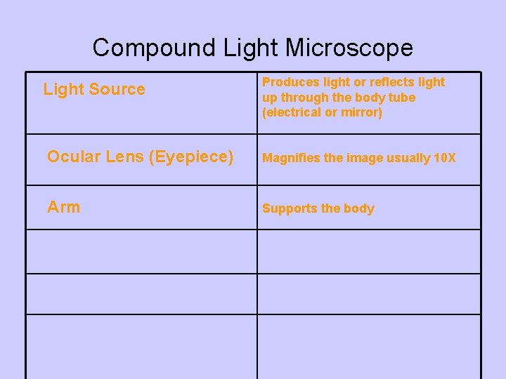 Compound Light Microscope Light Source Produces light or reflects light up through the body