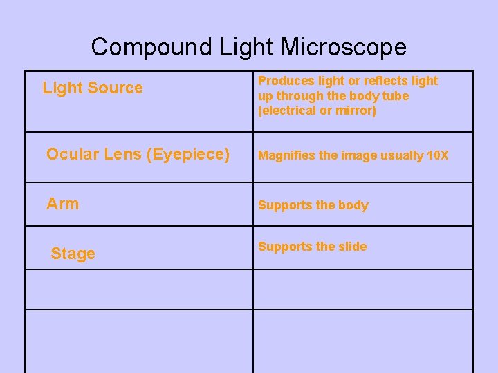 Compound Light Microscope Light Source Produces light or reflects light up through the body