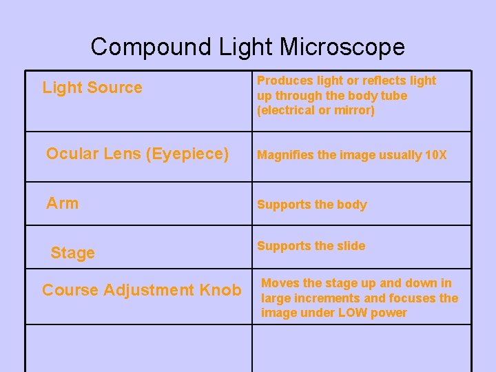 Compound Light Microscope Light Source Produces light or reflects light up through the body
