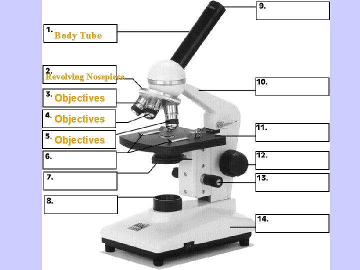 Body Tube Revolving Nosepiece Objectives Microscope 