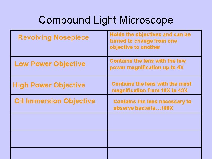 Compound Light Microscope Revolving Nosepiece Low Power Objective High Power Objective Oil Immersion Objective