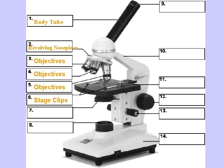Body Tube Revolving Nosepiece Objectives Stage Clips Microscope 