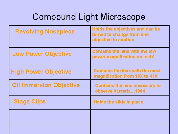 Compound Light Microscope Revolving Nosepiece Low Power Objective High Power Objective Oil Immersion Objective