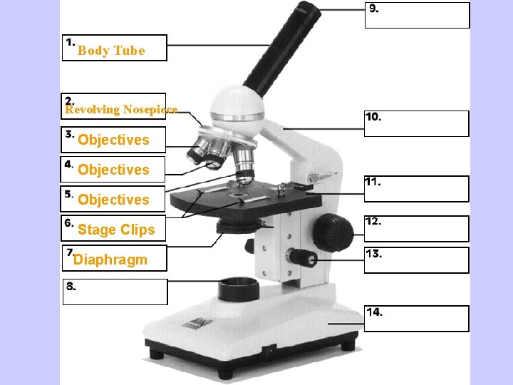 Body Tube Revolving Nosepiece Objectives Stage Clips Diaphragm Microscope 