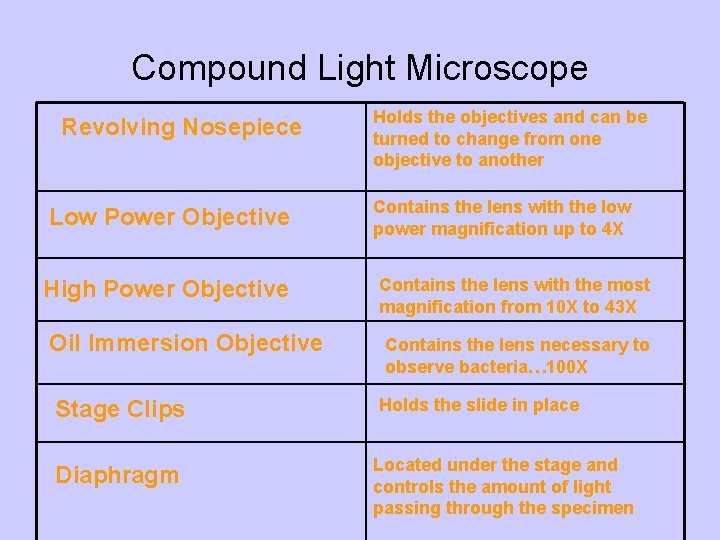 Compound Light Microscope Revolving Nosepiece Low Power Objective High Power Objective Oil Immersion Objective