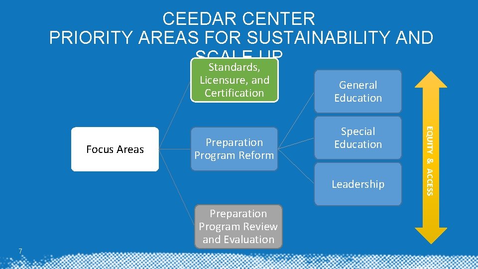 CEEDAR CENTER PRIORITY AREAS FOR SUSTAINABILITY AND SCALE UP Standards, Licensure, and Certification Preparation