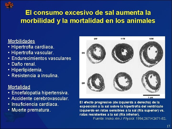 El consumo excesivo de sal aumenta la morbilidad y la mortalidad en los animales