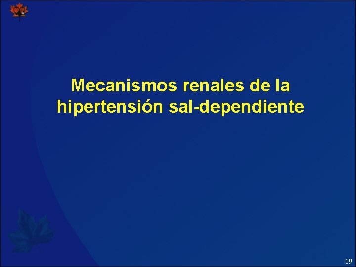 Mecanismos renales de la hipertensión sal-dependiente 19 