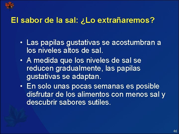 El sabor de la sal: ¿Lo extrañaremos? • Las papilas gustativas se acostumbran a