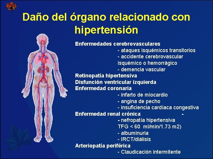 Daño del órgano relacionado con hipertensión Enfermedades cerebrovasculares - ataques isquémicos transitorios - accidente