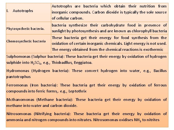 NUTRITIONAL CLASSIFICATION OF BACTERIA I Autotrophs are bacteria