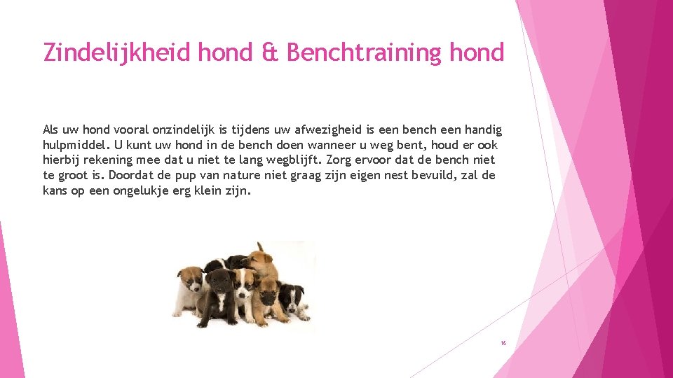 Zindelijkheid hond & Benchtraining hond Als uw hond vooral onzindelijk is tijdens uw afwezigheid