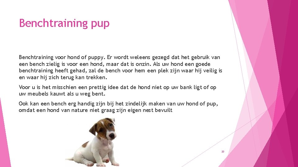 Benchtraining pup Benchtraining voor hond of puppy. Er wordt weleens gezegd dat het gebruik